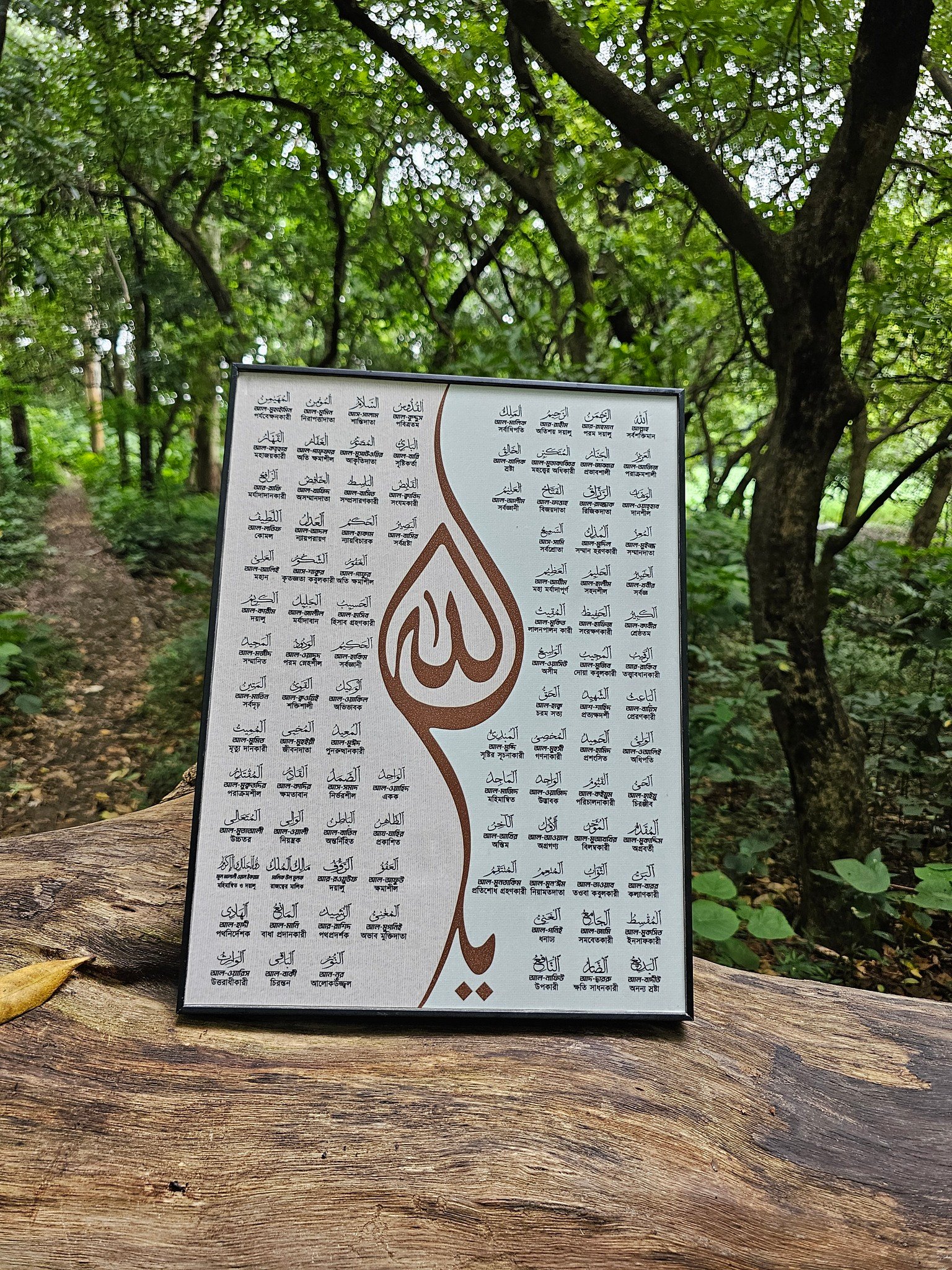 534843922_122116623542954070_5765969027705068642_n