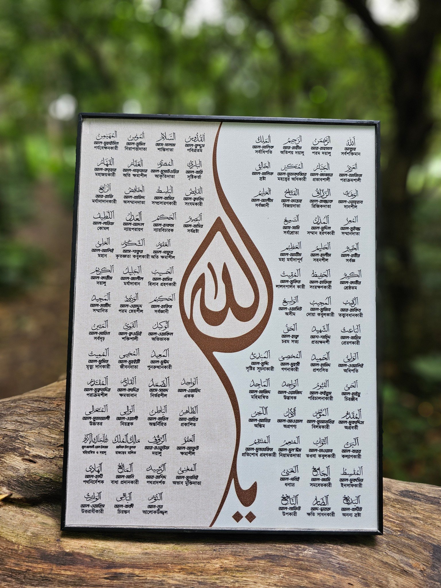 536279210_122116623218954070_599311018456086406_n