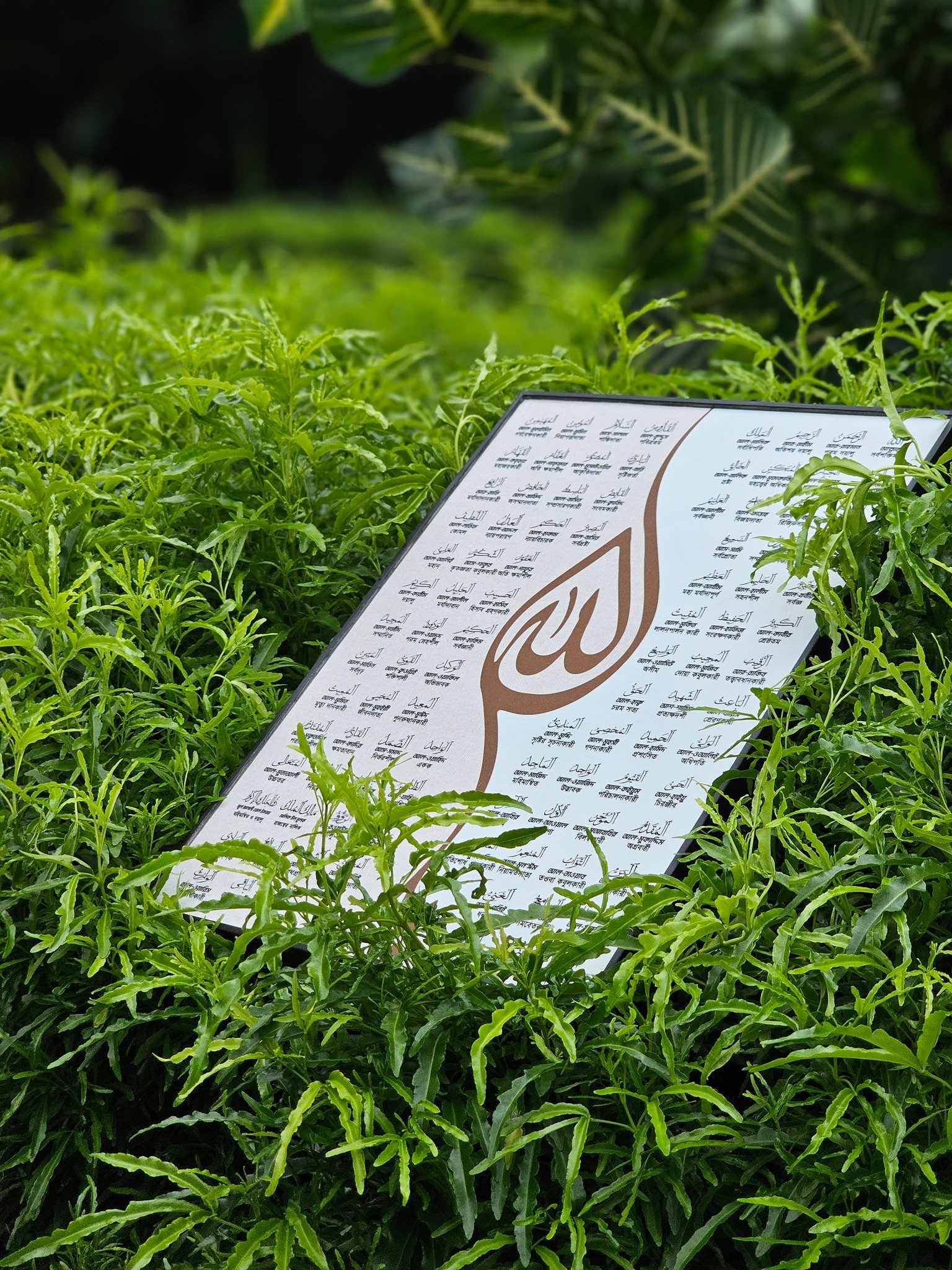 573314094_122134776722954070_1965292916529386919_n